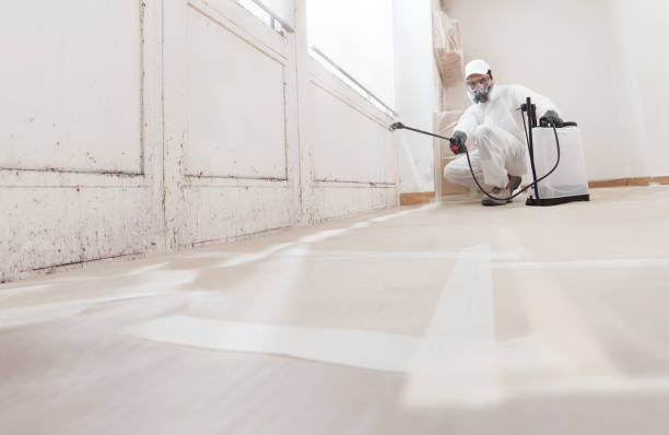 24/7 Emergency Basement Mold Removal experts in Teaneck, NJ